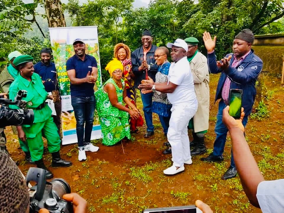 A Tree for the Future , Tree Planting Program